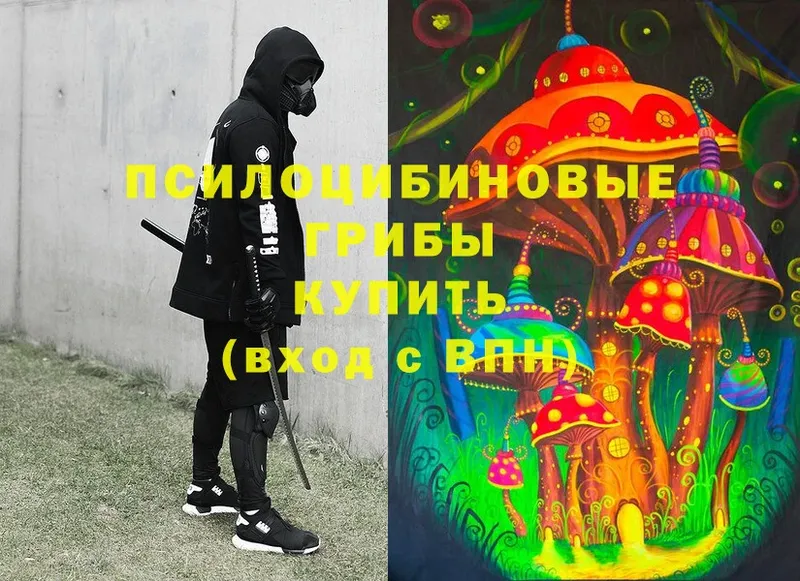 что такое наркотик  Кисловодск  Псилоцибиновые грибы MAGIC MUSHROOMS 